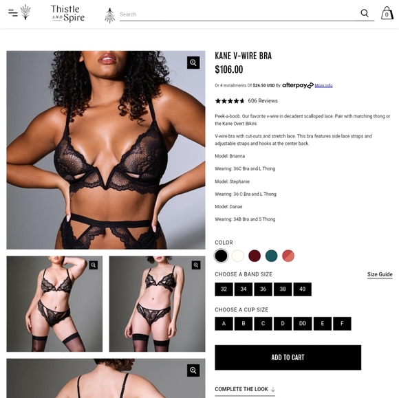 Thistle & Spire Kane Deep V Wire Bra Black Lace - Picture 4 of 5